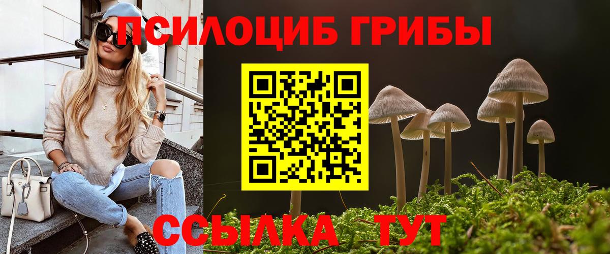 Псилоцибиновые грибы MAGIC MUSHROOMS  Вход с VPN  Полысаево 